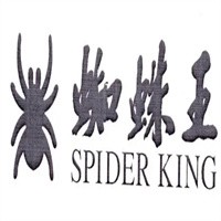蜘蛛王男鞋加盟