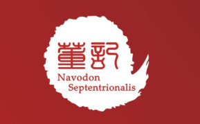 董記小辣椒卷涼皮加盟