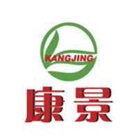 康景電動(dòng)車加盟