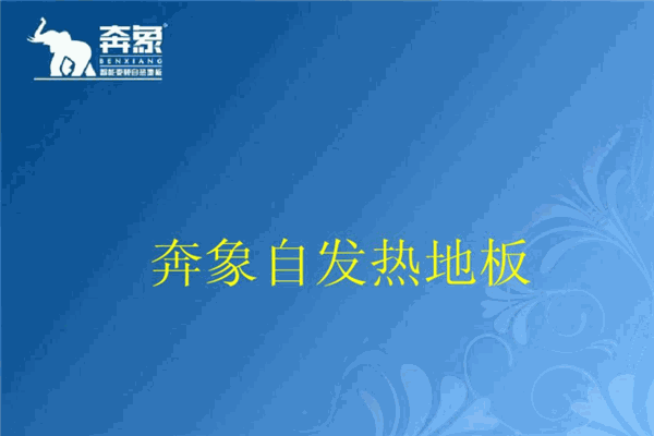 奔象地板
