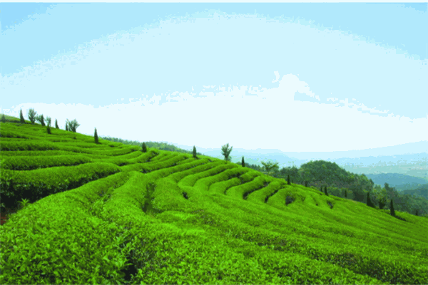 香爐山