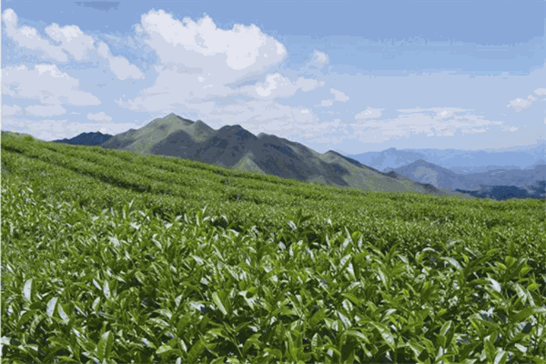 香爐山