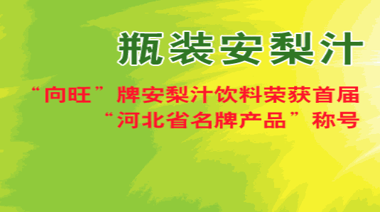 東辰食品