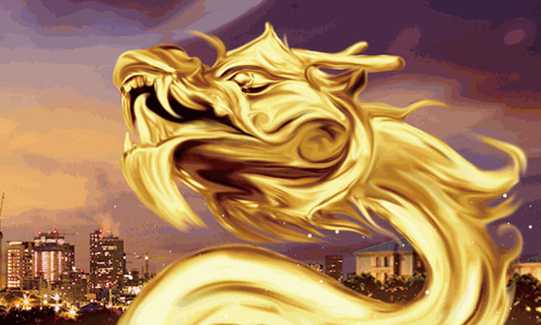 金龍包裝