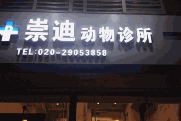 崇迪動物醫(yī)院加盟