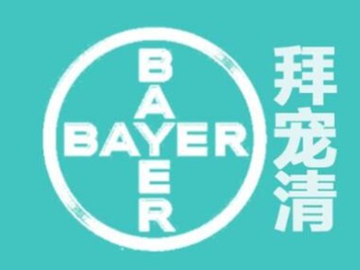 拜寵清加盟