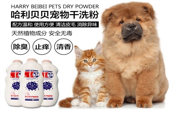 哈利貝貝加盟