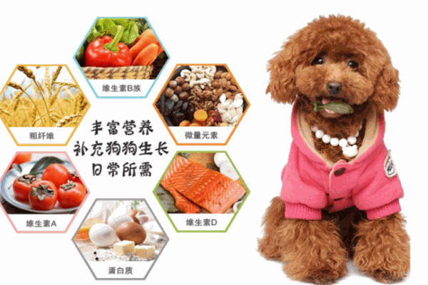 風來客寵物用品加盟
