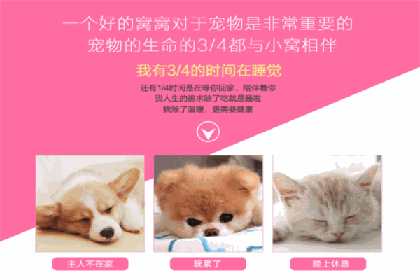 kai qu寵物用品加盟
