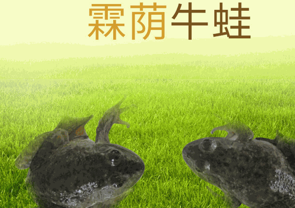 鑫隆食品