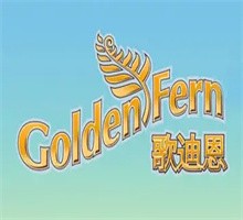歌迪恩嬰兒食品加盟