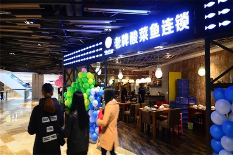貓兒戀上魚