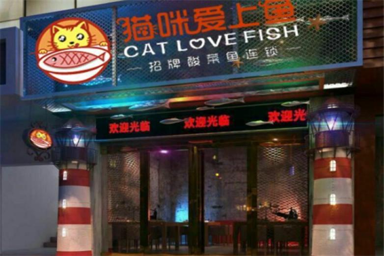 貓咪愛上魚酸菜魚