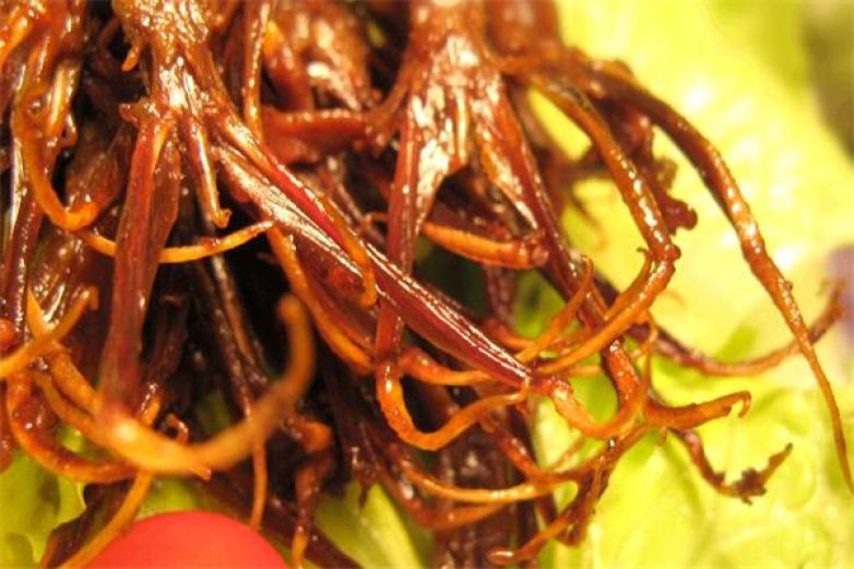 魔味鬼爪