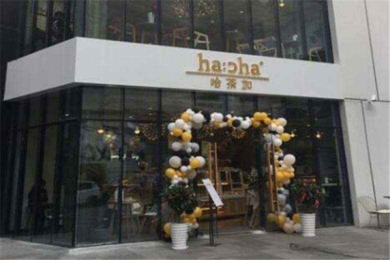 哈茶加