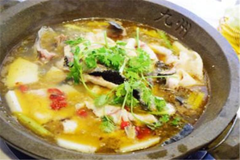 九州石鍋魚