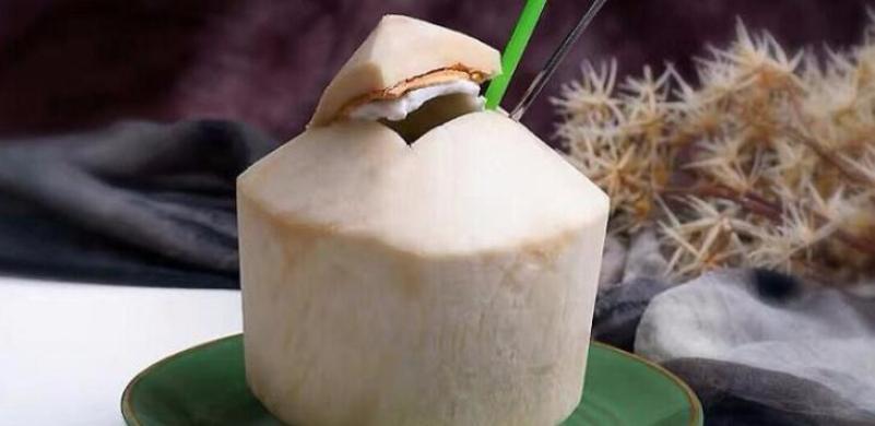 狐貍愛(ài)上椰子雞
