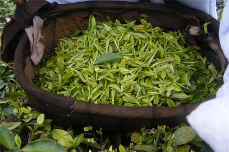五福茶藝館