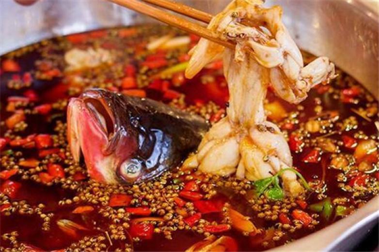 寬口美蛙魚頭
