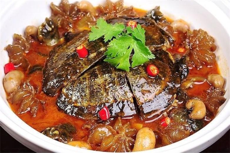 大圣甲魚