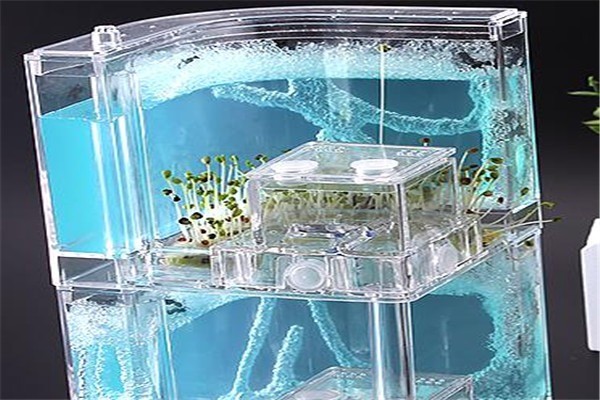 螞蟻工坊玩具加盟