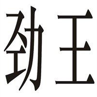 勁王鞋業(yè)加盟
