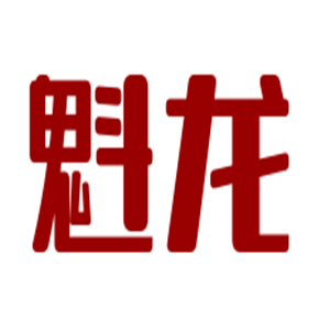 魁龍運(yùn)動鞋加盟