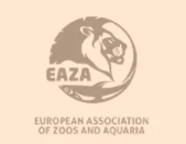 eaza男裝加盟