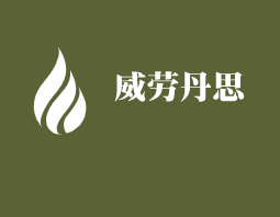 威勞丹思品牌鞋加盟