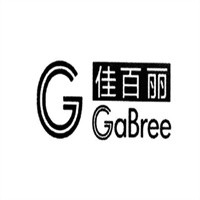佳百麗汽車美容加盟
