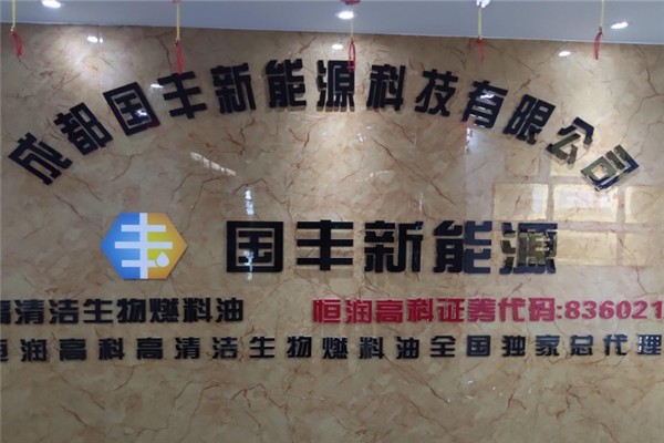 國豐新能源加盟