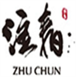注春國(guó)際人文茶飲加盟