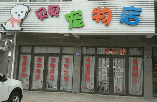 寶寶貝貝寵物店