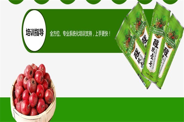 醒玖壹號加盟
