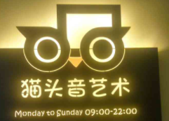 貓頭音藝術(shù)加盟