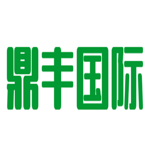 鼎豐國際兒童玩具加盟