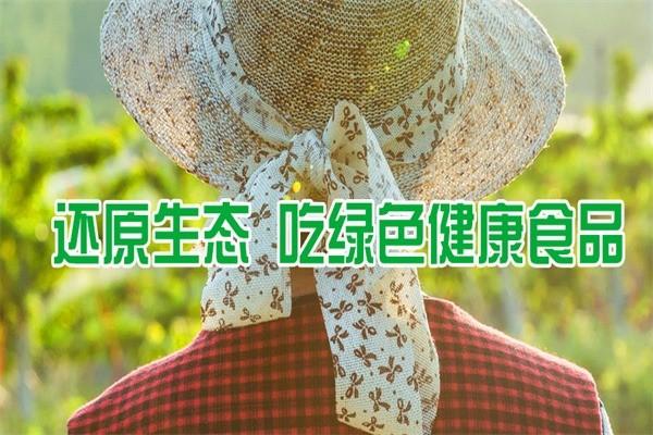 華盛興邦生態(tài)農(nóng)業(yè)加盟