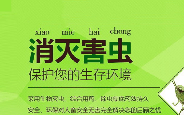 幫邦貓蟲控滅鼠