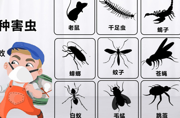 幫幫拜思特