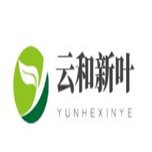 云和新葉兒童玩具加盟