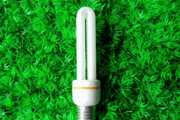 雷迪節(jié)能燈加盟