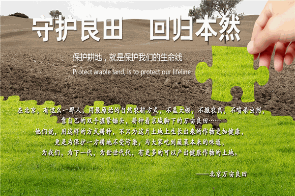 萬畝良田加盟