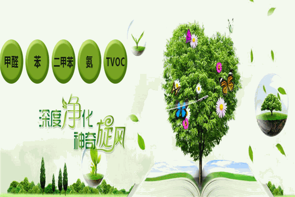 凈旋風(fēng)室內(nèi)環(huán)保加盟