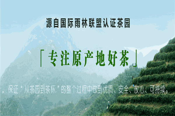 黃山毛峰茶葉加盟