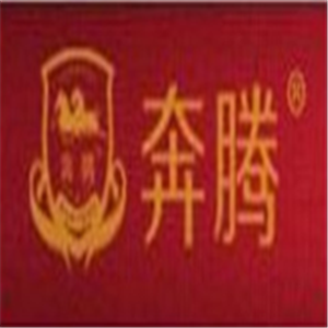 奔騰全屋采暖加盟