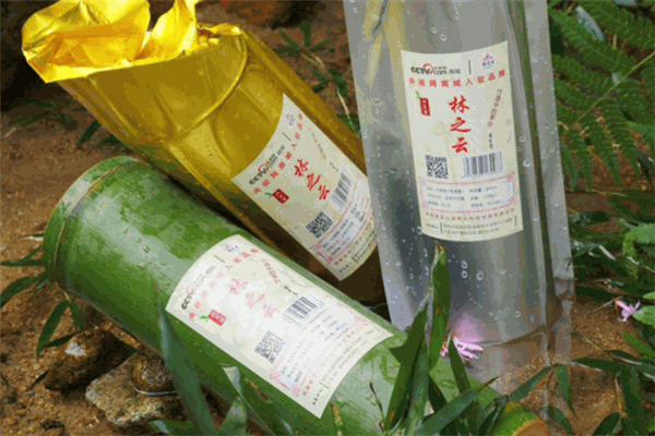 富貴竹酒加盟