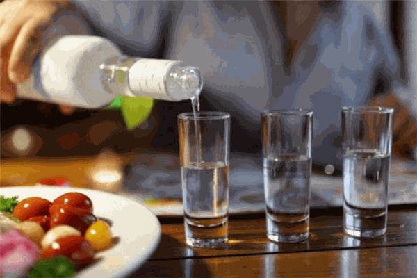 第一村杏龍酒加盟