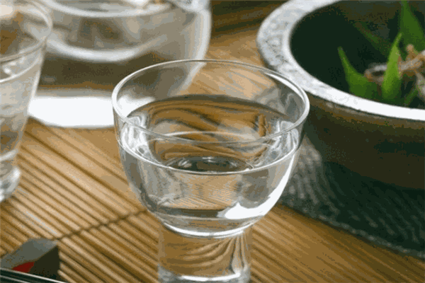 第一村杏龍酒加盟