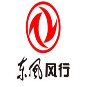 東風(fēng)風(fēng)行汽車用品加盟
