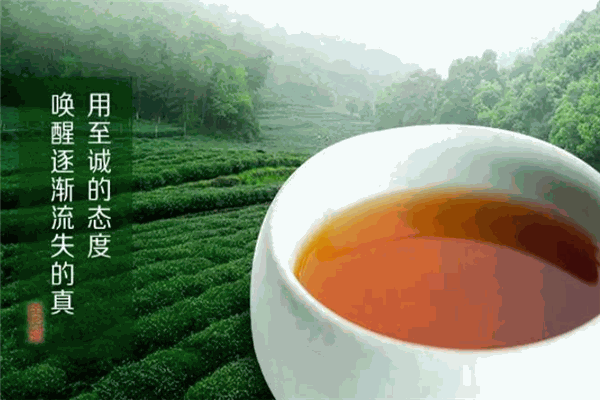 帝峰茶業(yè)加盟